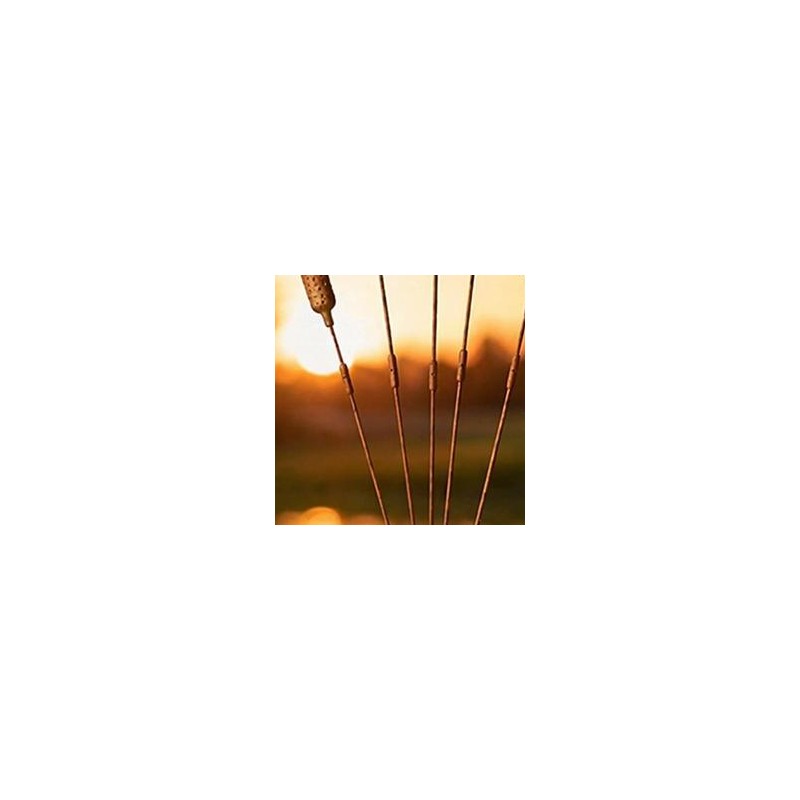 Is Plant Parent Free To Use - Campanillas de viento de hierro con