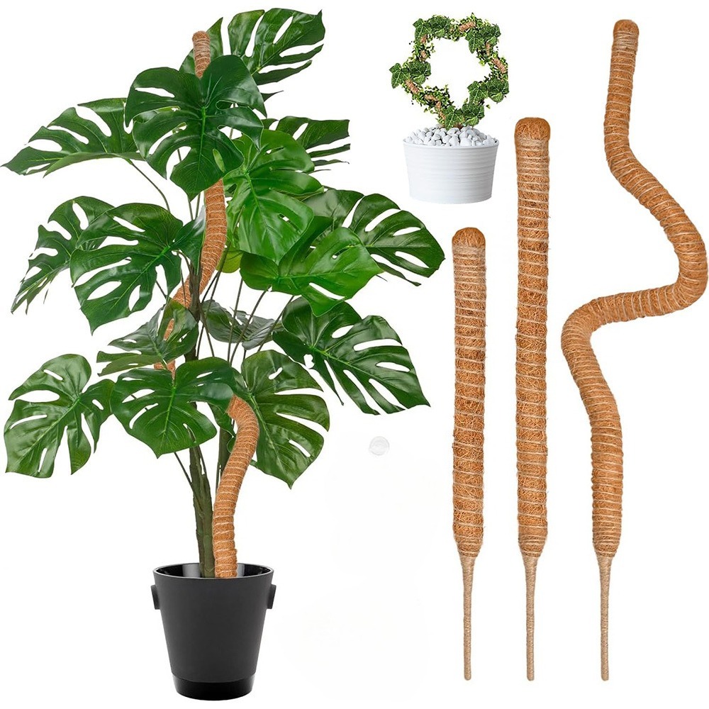 Monstera Thai Constellation - Soporte de escalada de plantas flexibles