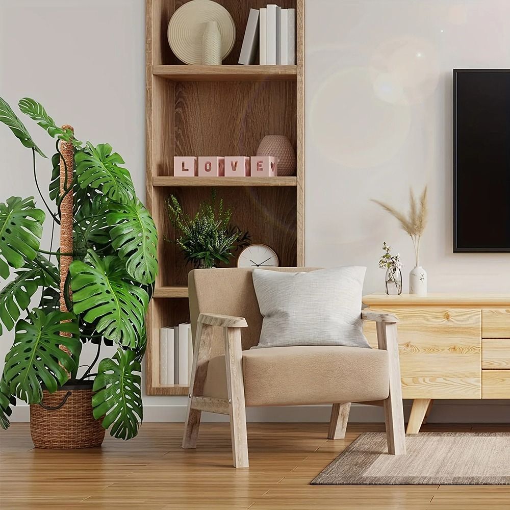 1 Uds. De cáscara de coco, mus - Monstera Thai Constellation reseña y precio