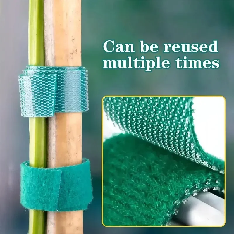 Brida para cables de nailon au - Monstera Thai Constellation reseña y precio