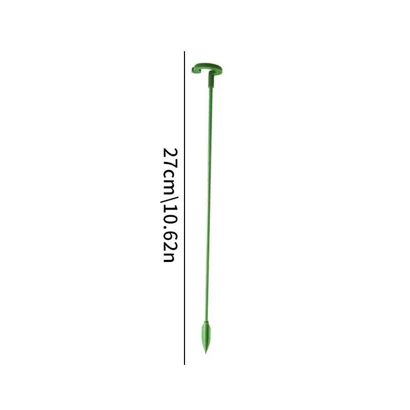 10 soportes de 27 cm para flor - Monstera Thai Constellation reseña y precio
