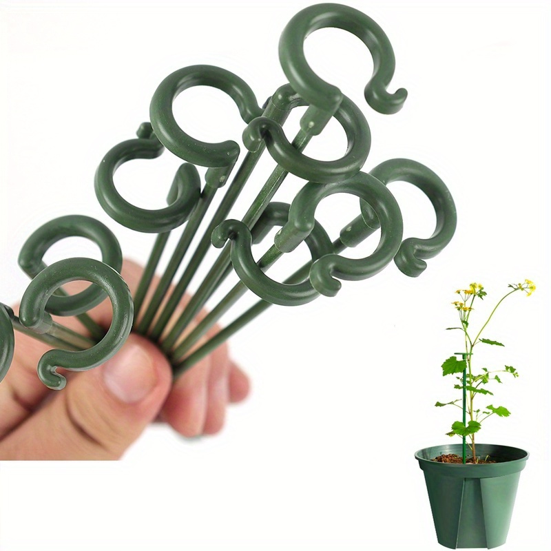 10 soportes de 27 cm para flor - Monstera Thai Constellation reseña y precio