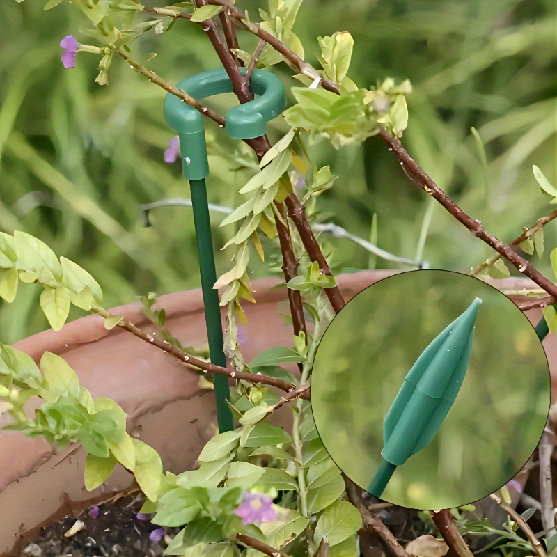 10 soportes de 27 cm para flor - Monstera Thai Constellation reseña y precio