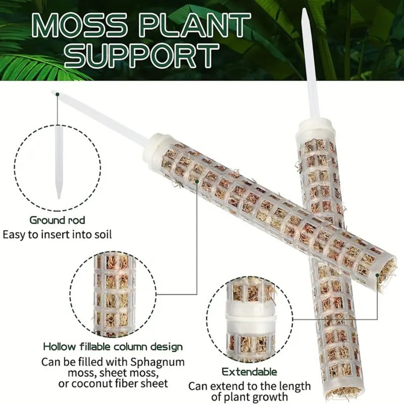 1/2/3 Piezas Columna de Musgo  - Monstera Thai Constellation reseña y precio