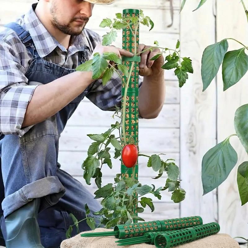 Soporte para Plantas Trepadora - Monstera Thai Constellation reseña y precio